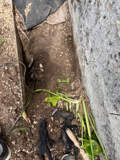 regard télécom non présent sur ce chantier
